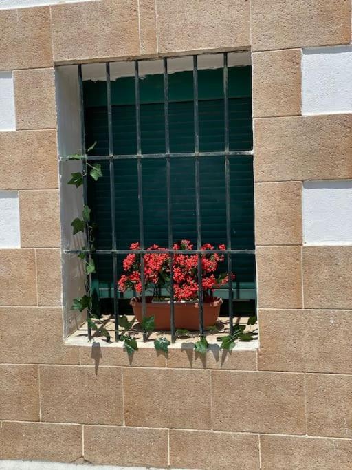 El Rincon Del Rey Apartment Torrejon del Rey Ngoại thất bức ảnh